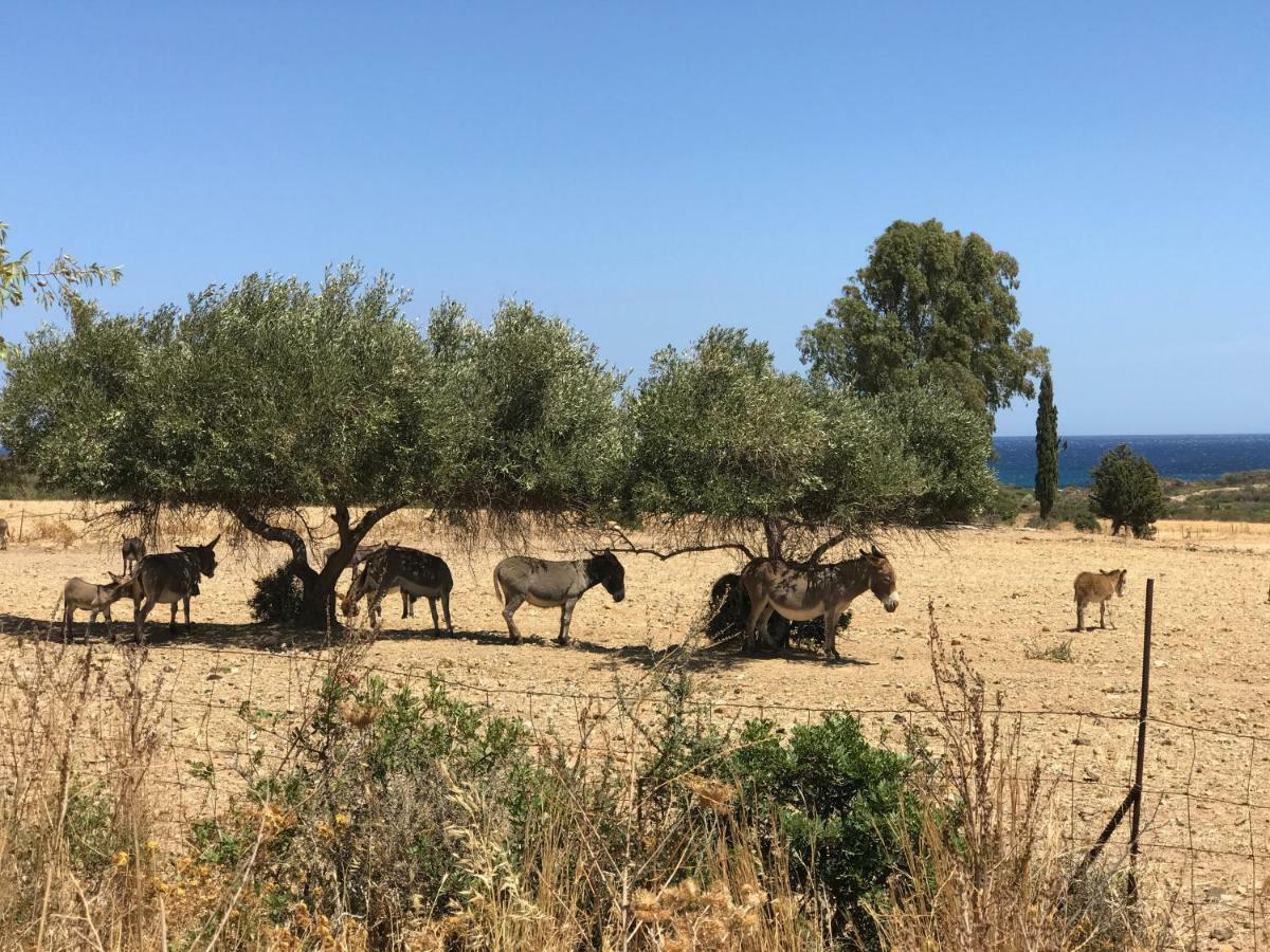 فيلا فيلابوتزوفي Villino Aurora المظهر الخارجي الصورة